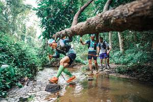 BIB: 
                            <button type="button" onclick="openModal(25368772)" class="btn btn-primary btn-sm float-right btn-popup" data-toggle="modal" data-target=".modal-high-quality">
                        <i class="fas fa-shopping-cart"></i> Add to Cart
                    </button>
                                            <button type="button" onclick="isThisMe(25368772, true)" class="btn btn-success btn-sm float-right btn-popup btn-isme hidden" data-toggle="tooltip" data-placement="bottom" title="นี่คือรูปของคุณใช่ไหม คลิกที่นี่เพื่อเอาเข้าอัลบั้ม">
                        <i class="fas fa-plus"></i> Add to album
                    </button>
                    <button type="button" onclick="isThisMe(25368772, false)" class="btn btn-warning btn-sm float-right btn-popup btn-isnotme hidden">
                        <i class="fas fa-ban"></i> Remove from album
                    </button>